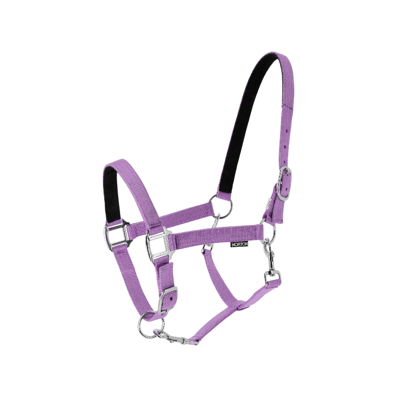 Norton - Nylon halster Dream lila