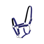 Norton - Cabezada de nylon Dream azul rey
