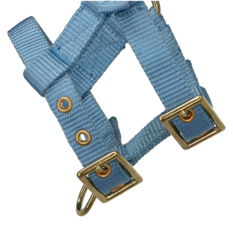 Norton - Cabresto regulável mini azul-céu