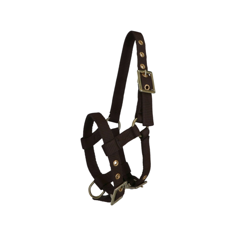 Norton - Cabresto regulável mini castanho