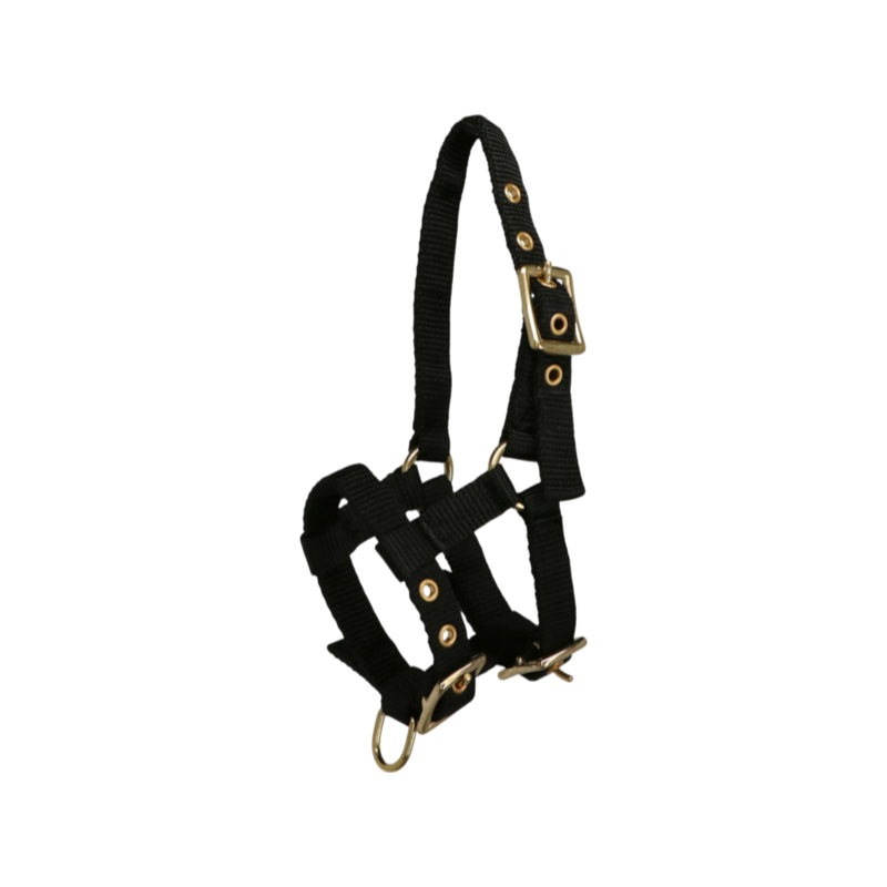 Norton - Cabresto regulável mini preto