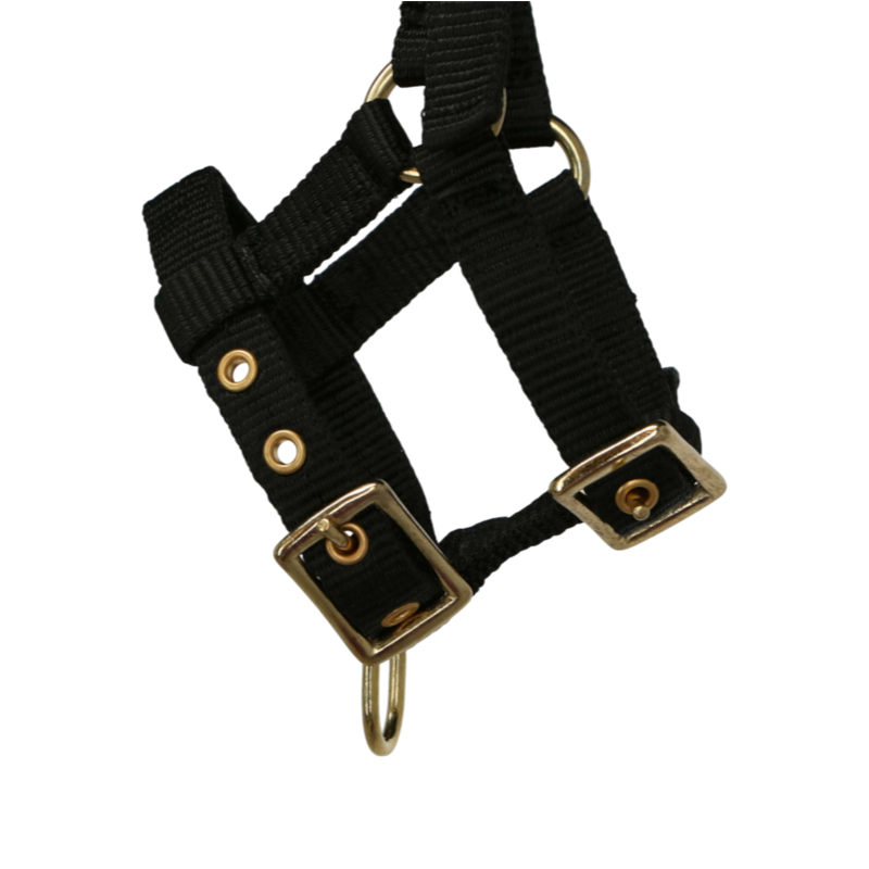 Norton - Cabresto regulável mini preto