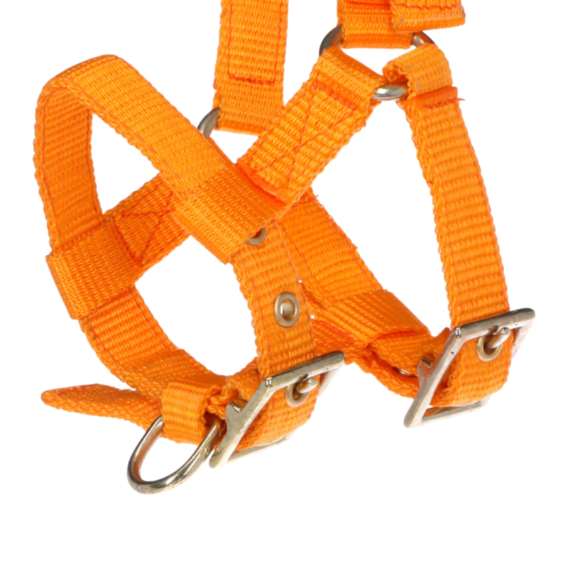 Norton - Cabresto regulável mini laranja