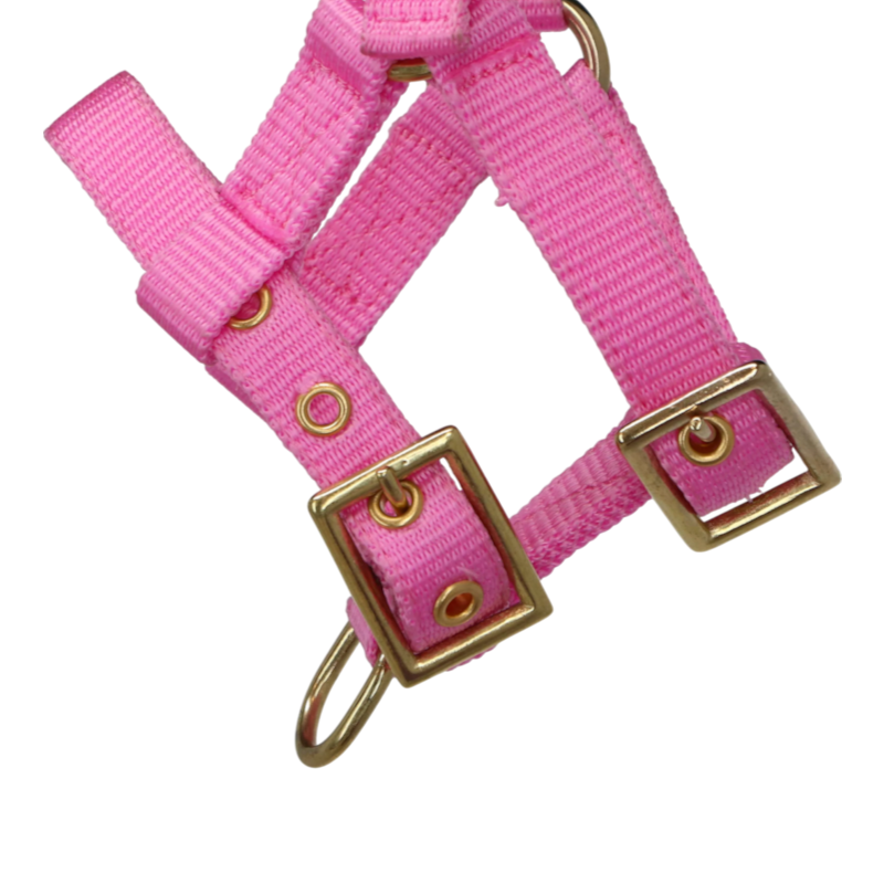 Norton - Cabresto regulável mini rosa
