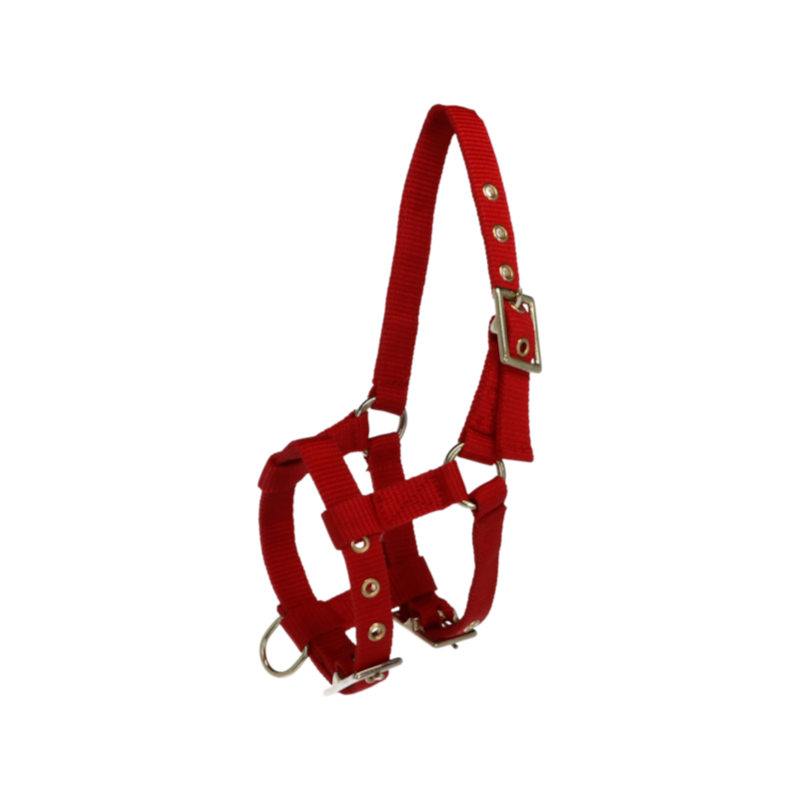 Norton - Capezza regolabile mini rossa