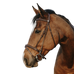 Norton - Easy Bridle havana | - Ohlala