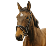 Norton - Easy Bridle black | - Ohlala