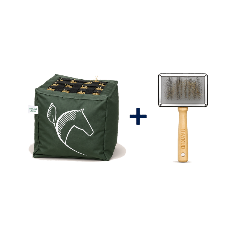 Natural' Innov - Pack Natural'Kub + Natural'Brush zielony
