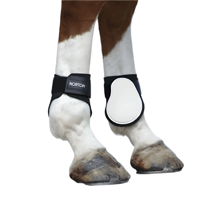 Norton - White comfort fetlock guards