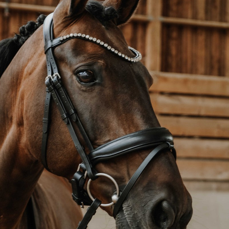 Norton - Bridon de dressage Diams noir | - Ohlala