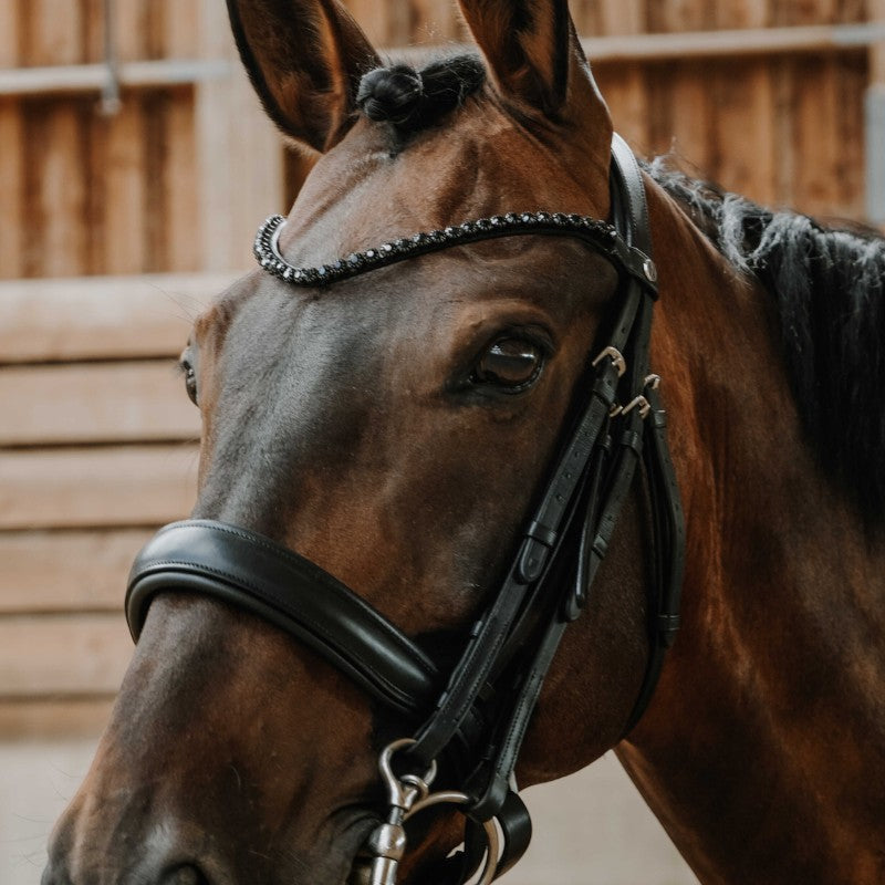 Norton - Bridon de dressage Onyx noir | - Ohlala