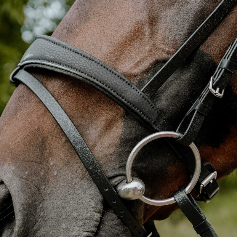 Norton - Endurance hoofdstel Pop zwart | - Ohlala