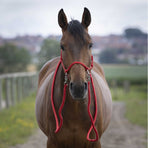 Norton - Licol éthologique avec rênes rouge | - Ohlala