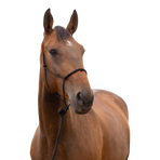 Norton - Licol éthologique doux poney noir | - Ohlala