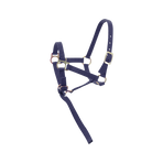 Norton - Licol foal + longe marine | - Ohlala