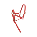 Norton - Licol foal + longe rouge | - Ohlala