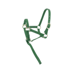 Norton - Licol foal + longe vert foncé | - Ohlala