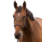 Norton - Soft Ethological Pony Halter Navy | - Ohlala