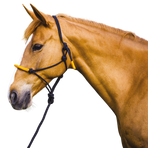 Norton - Licol éthologique et longe Fun colour noir/orange | - Ohlala