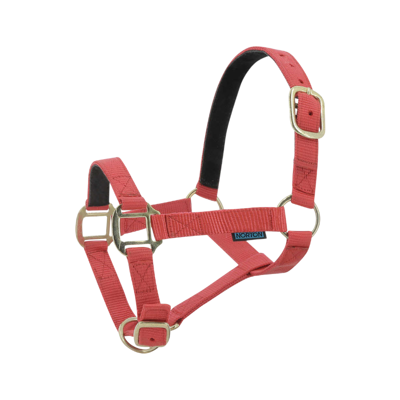 Norton - Red leather lined nylon halter