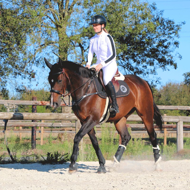 Pénélope Store - Chemise manches longues de concours Showshirt blanc/ noir | - Ohlala