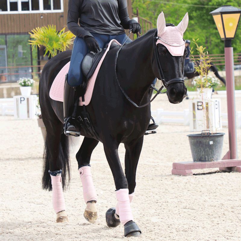 Kentucky Horsewear - Tapis de dressage Velvet Pearls rose tendre | - Ohlala