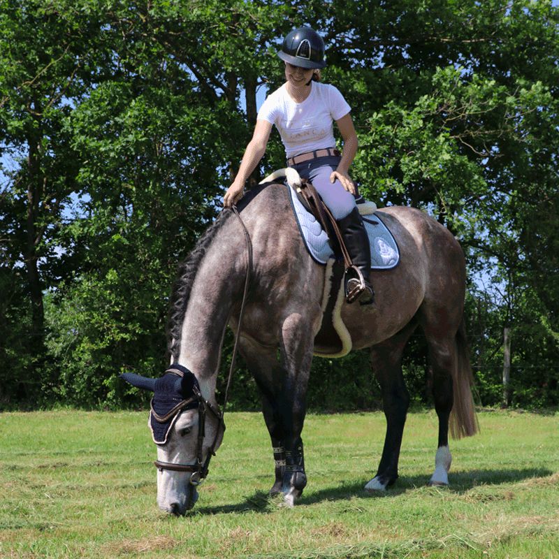 Sabbia Bianca - Pantalon d'équitation femme Venus gris/ bleu | - Ohlala