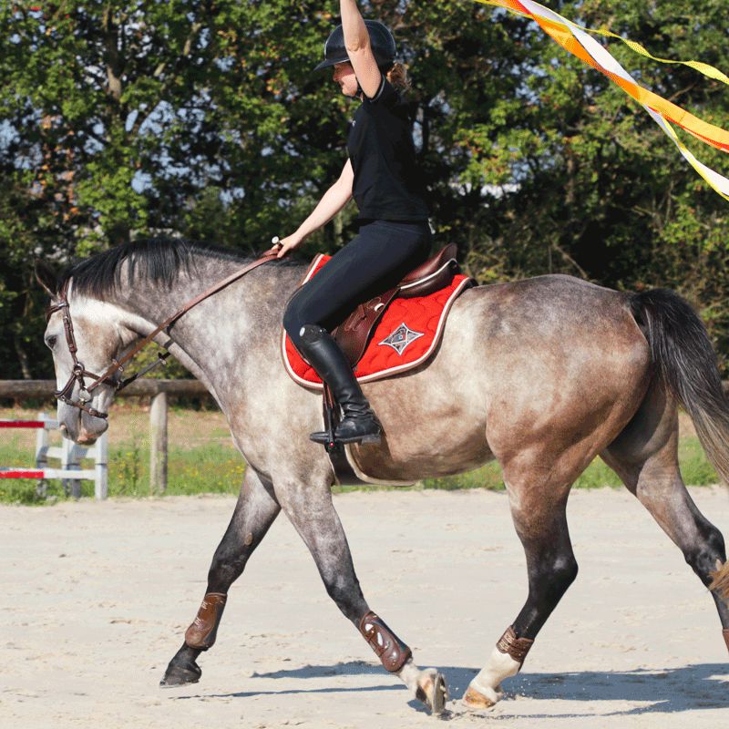 Jump'in - Tapis de selle rouille/ champagne/ choco | - Ohlala