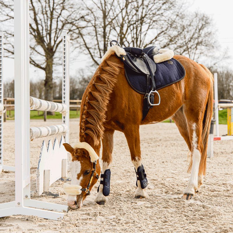 Kentucky Horsewear - Tapis de selle color edition cuir marine pour minis | - Ohlala