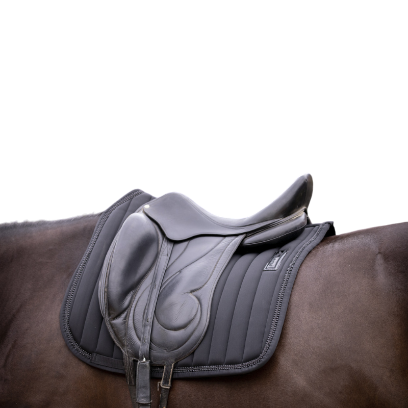 Paddock Sports - Tapis de dressage Verticali noir | - Ohlala
