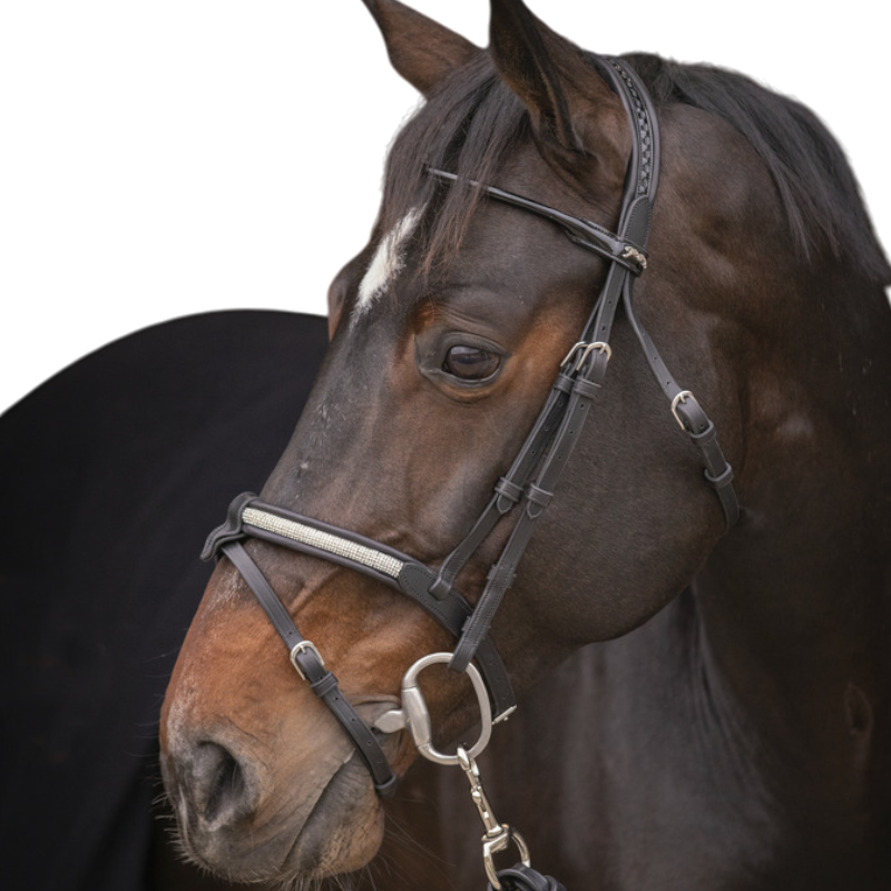 Pénélope - Symphony Bridle Black Rhinestones 