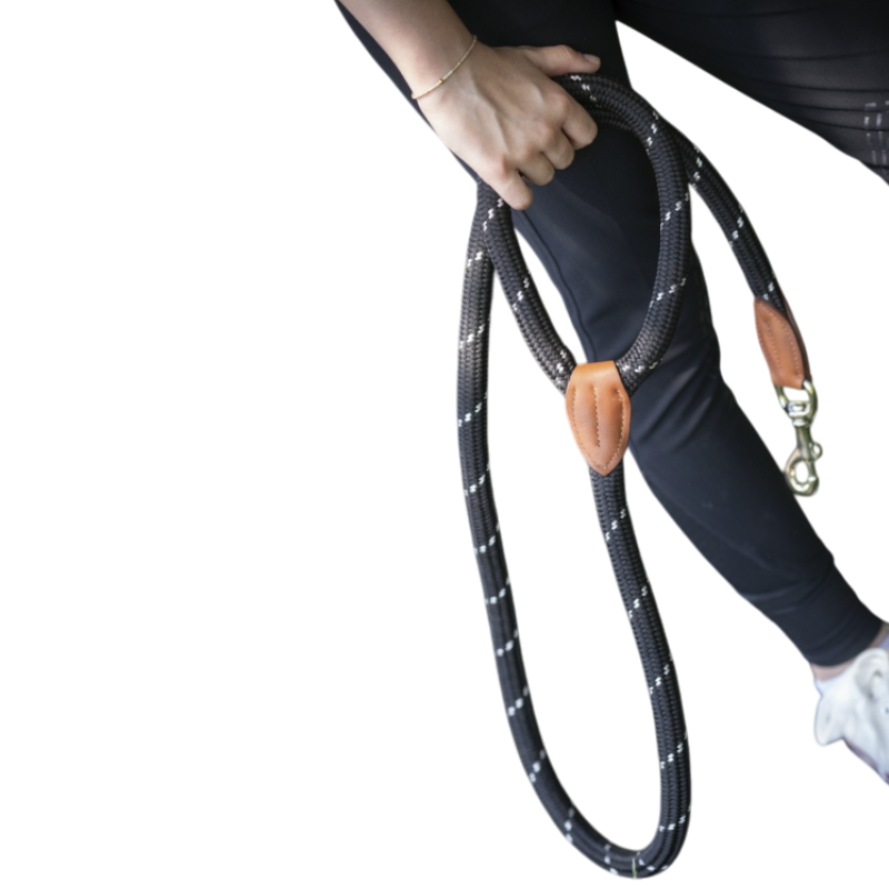 Pénélope - Billie black dog leash/ black leather 