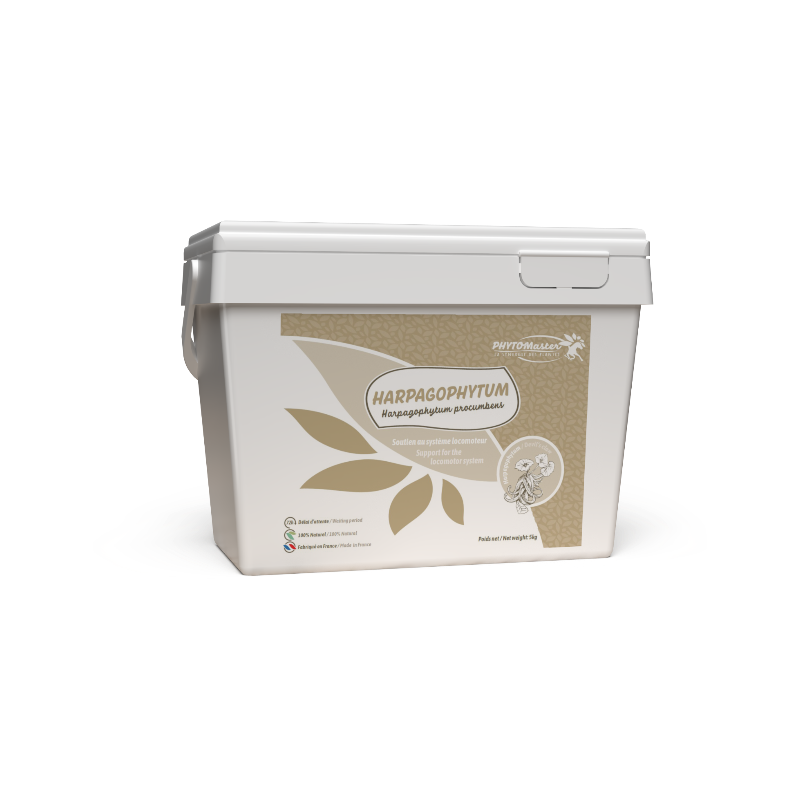 PhytoMaster - Suplemento alimentario lomotion Harpagofito