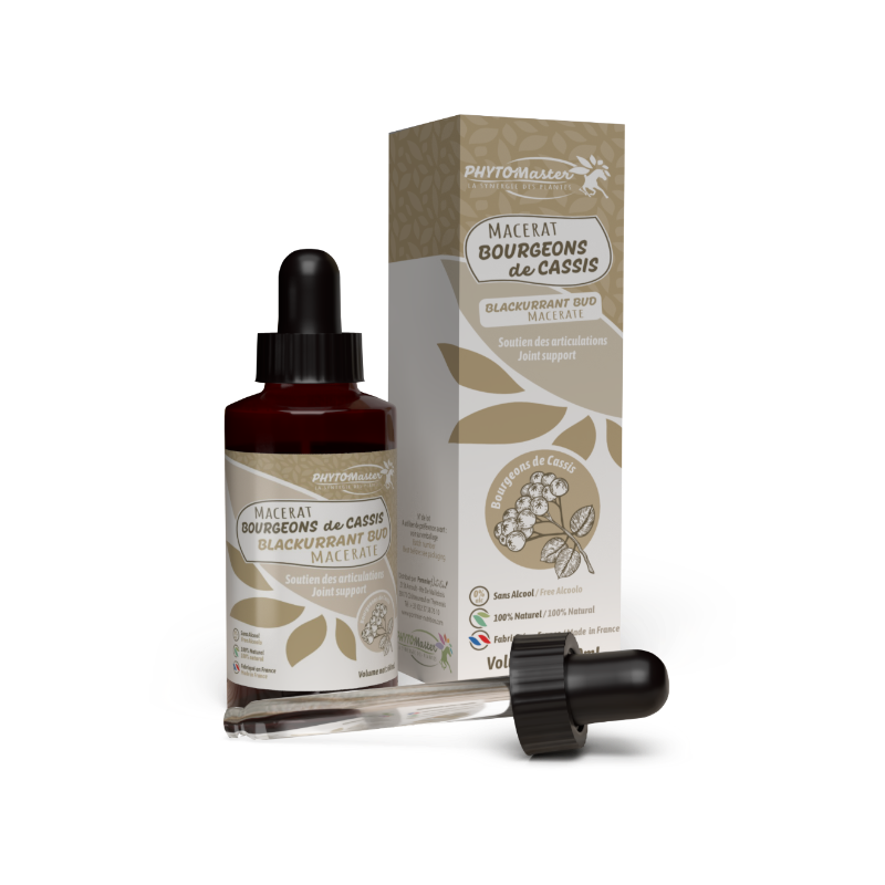 PhytoMaster - Blackcurrant Bud Macerate Supplement