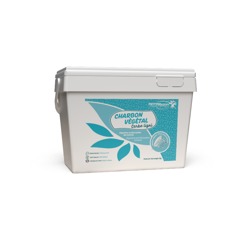 PhytoMaster - Vegetable Charcoal Powder Digestive Supplement