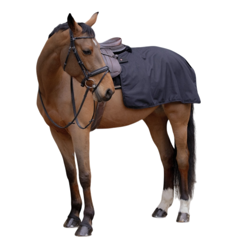 Paddock Sports - Couvre-reins Quarter Classic Rain noir