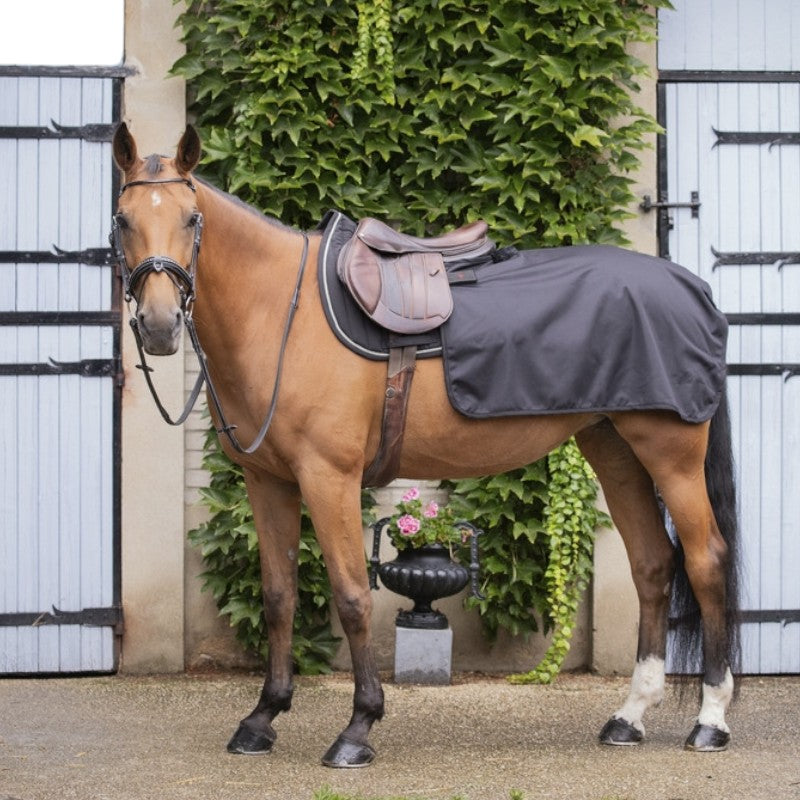 Paddock Sports - Couvre-reins Quarter Classic Rain noir