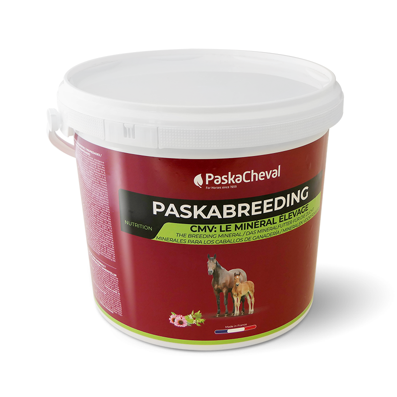 Paskacheval - Complément alimentaire Paskabreeding granulé | - Ohlala