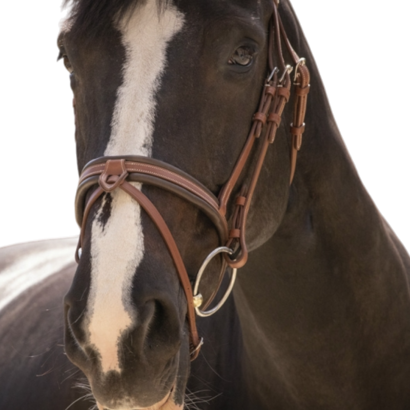 Pénélope Store - Smoothie pearl bridle with cognac/turquoise reins