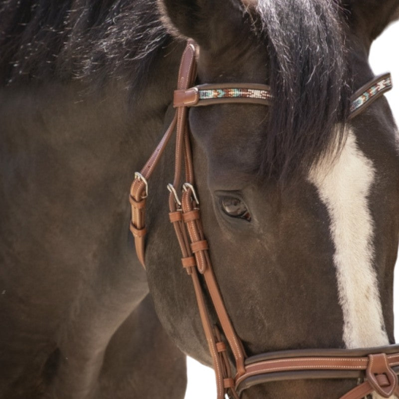 Pénélope Store - Smoothie pearl bridle with cognac/turquoise reins