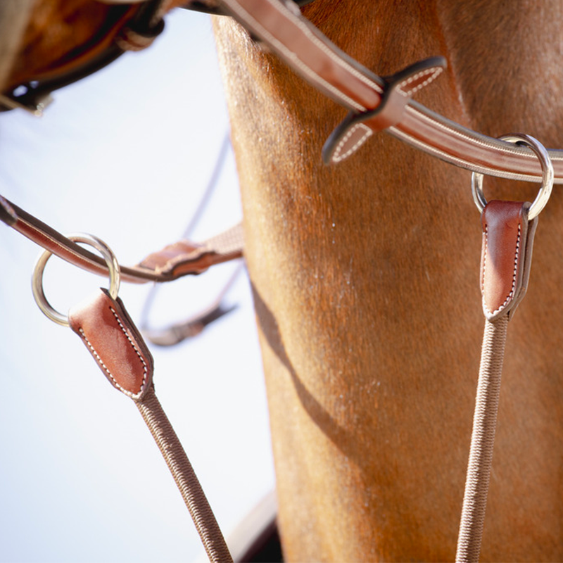 Pénélope Store - Fourche de martingale Bip Light Us élastique noisette | - Ohlala