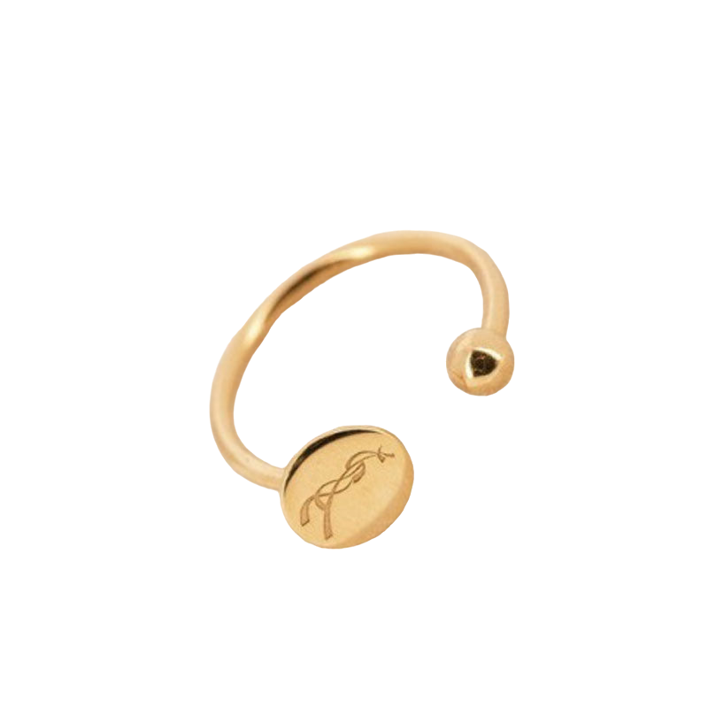 Pénélope store - Gold Lisa ring