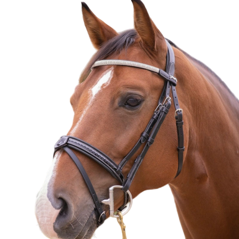 Pénélope store - Harmonie bridle with black reins