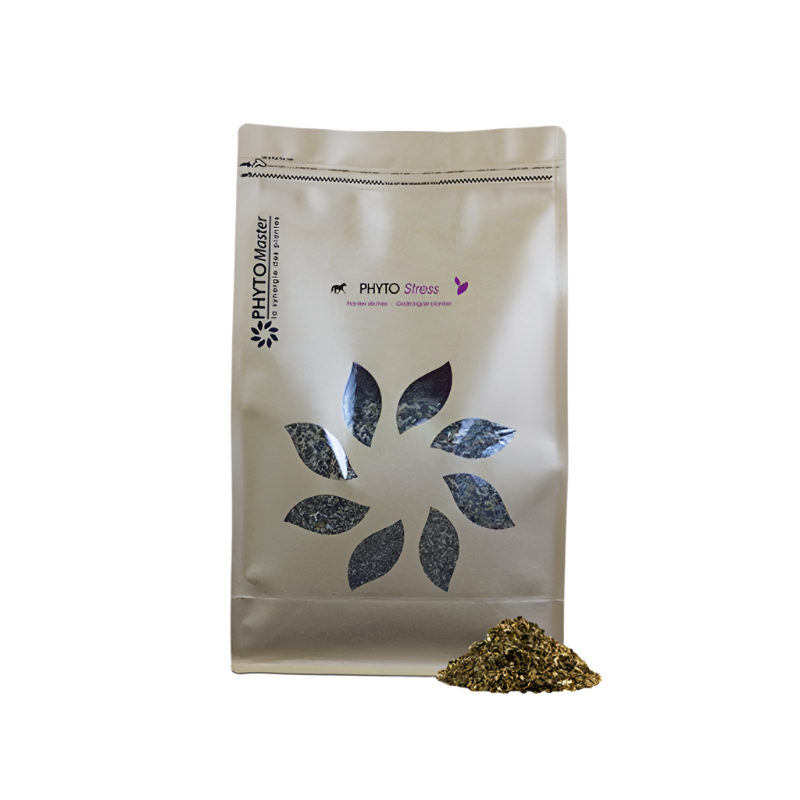 PhytoMaster - Complément alimentaire anti-stress Phyto Stress 1 kg