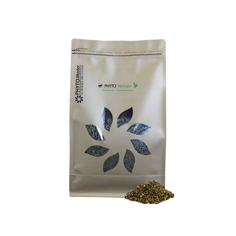 PhytoMaster - Complément alimentaire soutien épiderme Phyto Verrues 1 kg