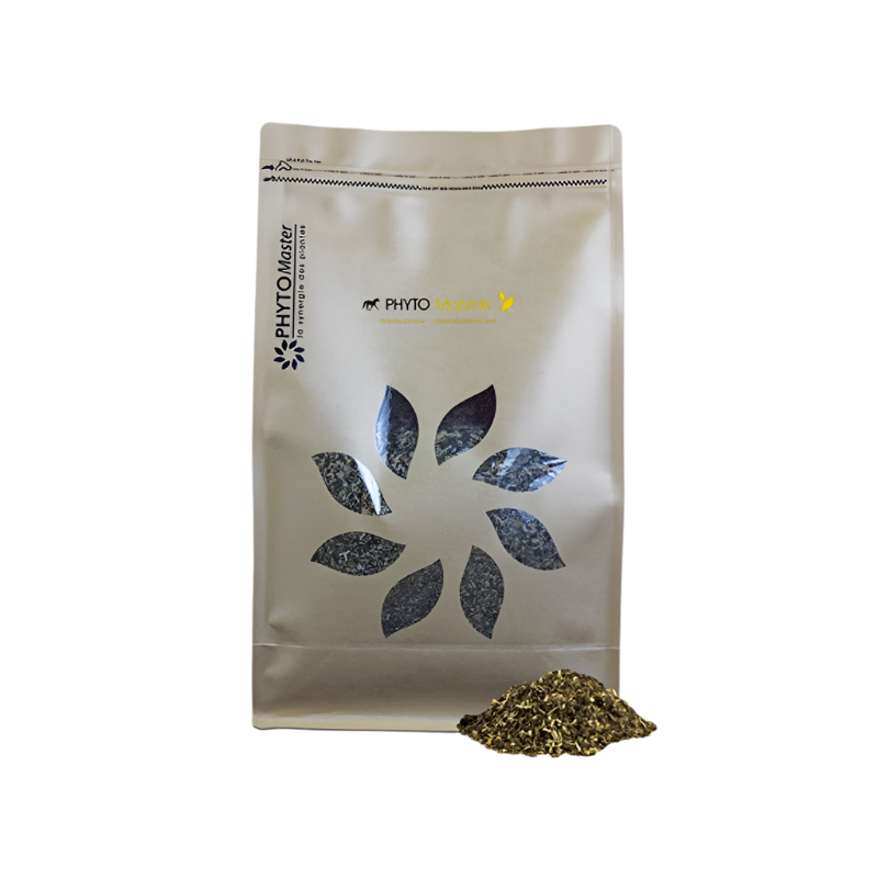 PhytoMaster - Complément alimentaire confort articulaire Phyto Mobilité 1 kg