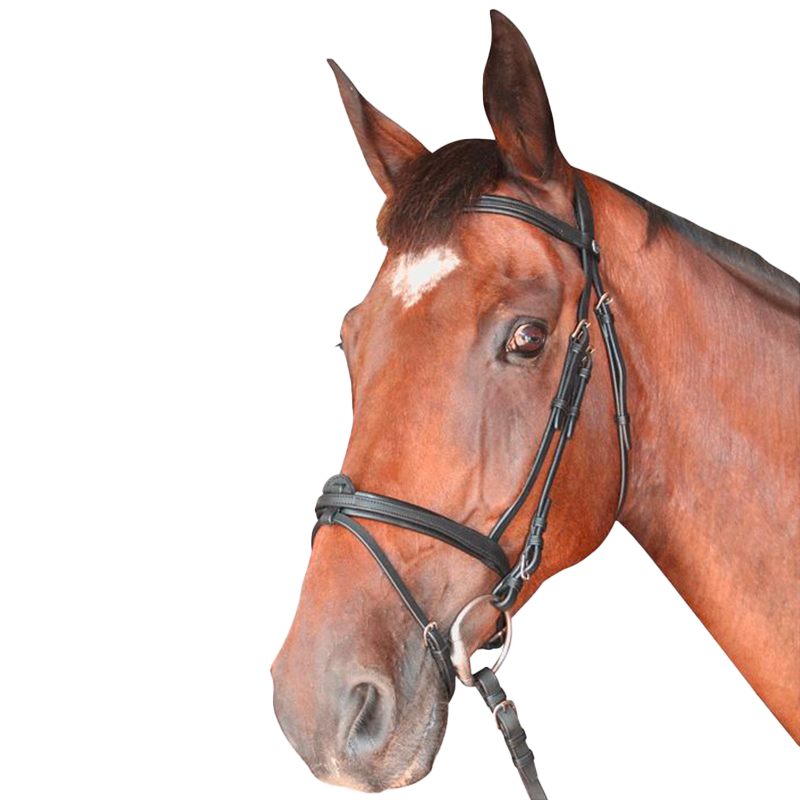Privilege Equitation - Bridon Cabourg combiné avec rênes noir | - Ohlala