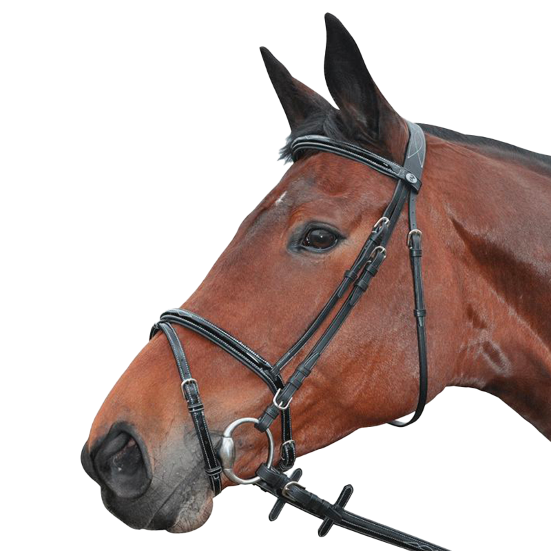 Privilege Equitation - Bridon Nice combiné avec rênes noir | - Ohlala