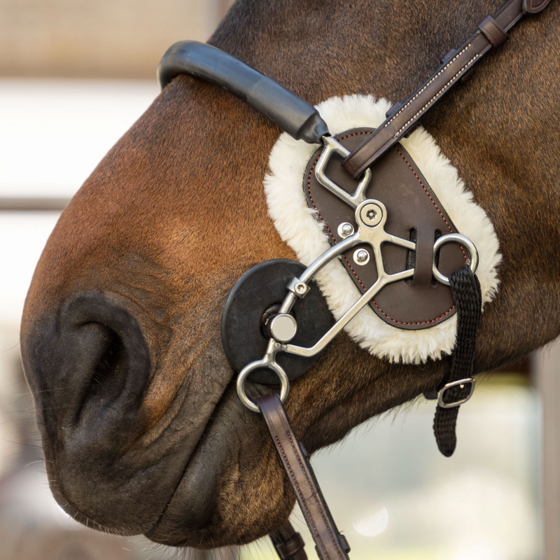 Brown Hackamore Guards - Dyon