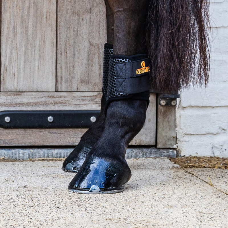 Kentucky Horsewear - Protège-boulets ProAir noir | - Ohlala